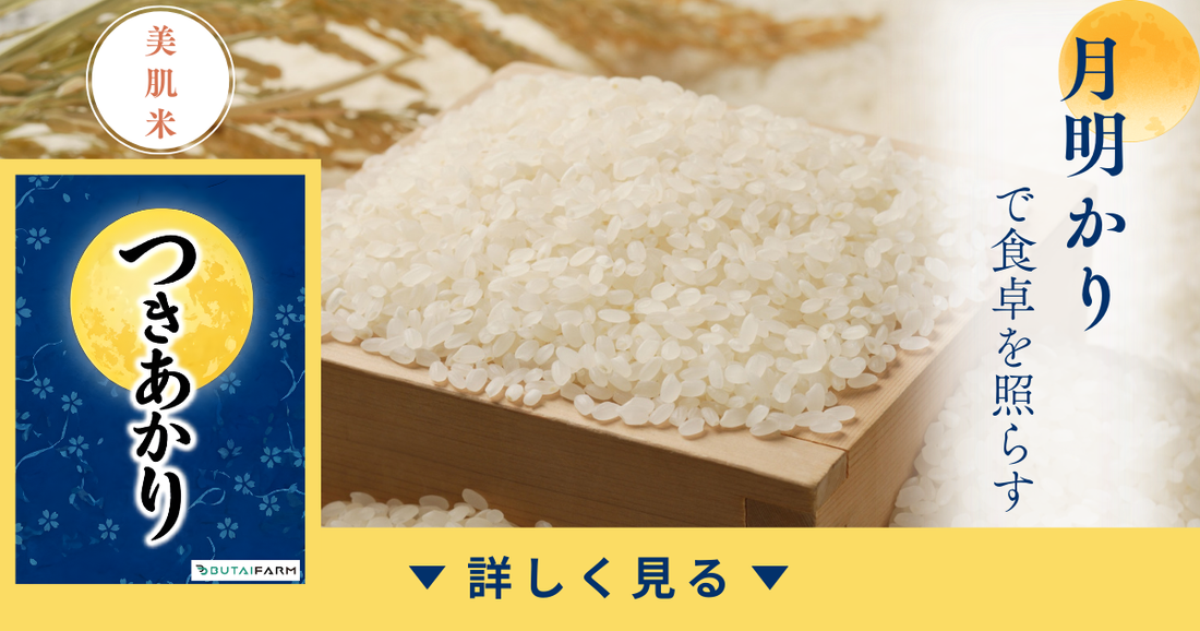 🌕つきあかりってどんな品種？