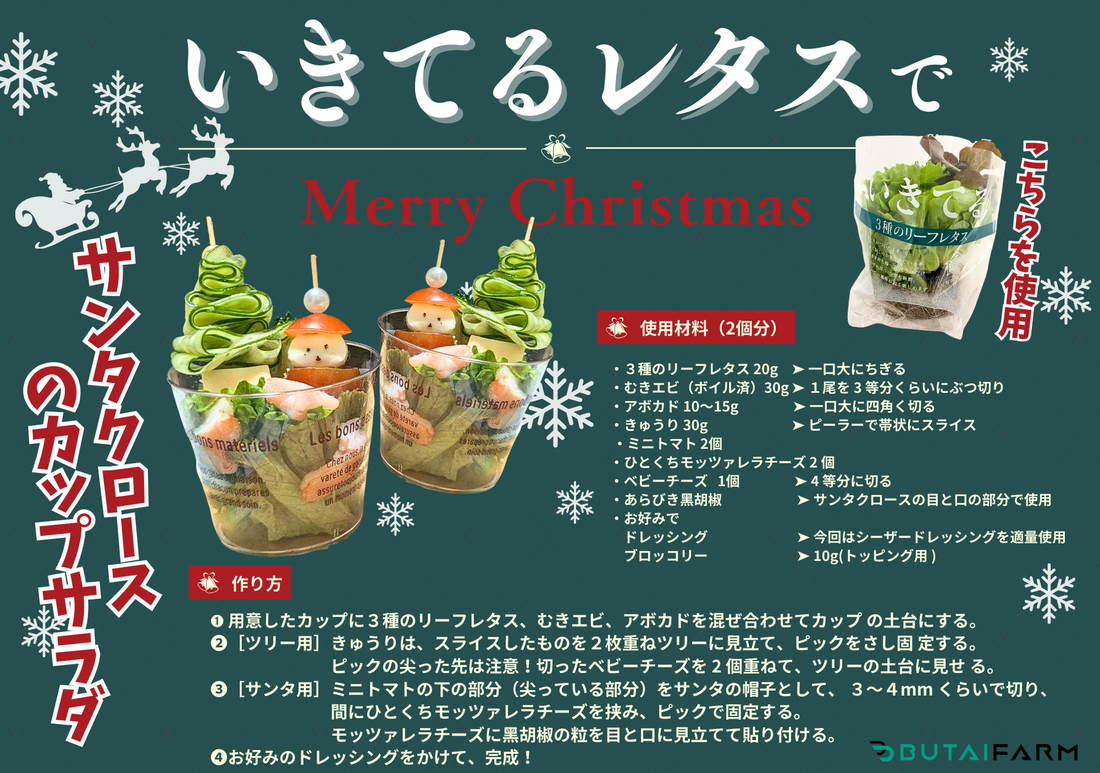 🎅お家クリスマスで大活躍🎄