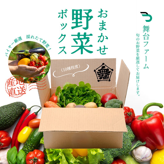 厳選　おまかせ旬の野菜ボックス